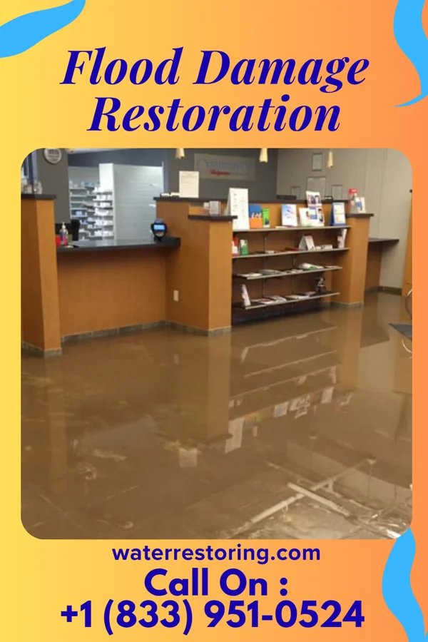 Flood Damage Restoration in Bangor, MI