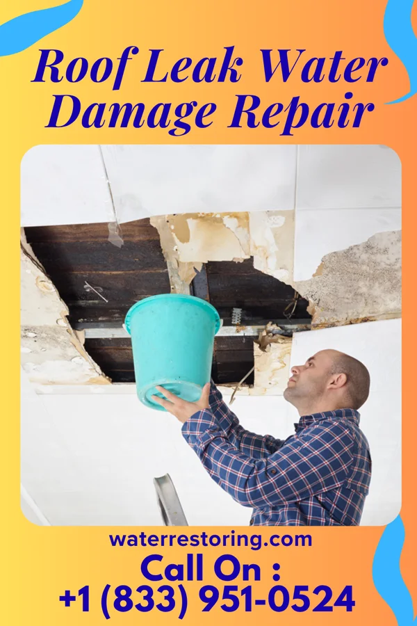 Roof Leak Water Damage Repair in Bangor, MI