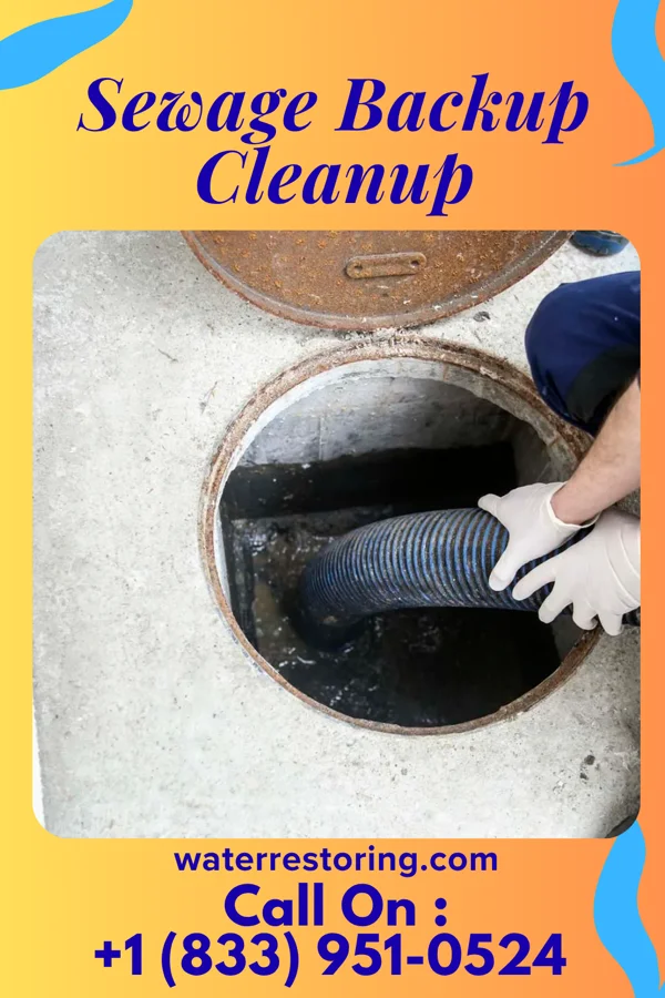 Sewage Backup Cleanup in Bangor, MI